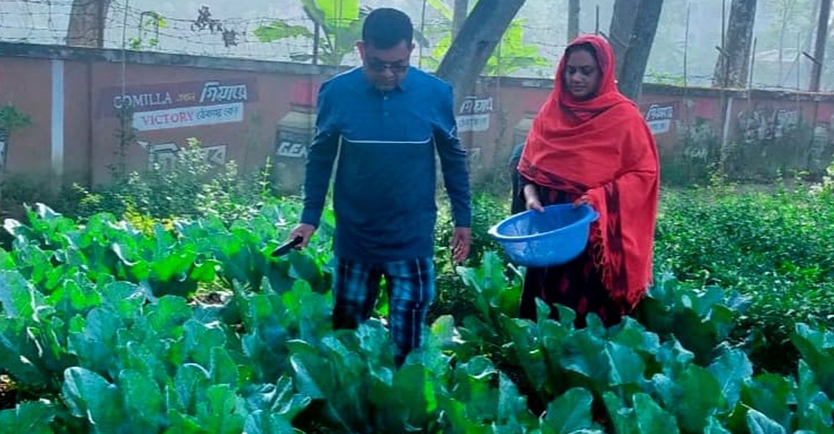 সবজি-ফুল-ফল চাষ করে তাক লাগিয়েছেন কুমিল্লার জেলা প্রশাসক