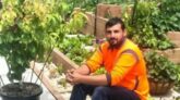 বিশ্ব রেকর্ড : এক গাছে ১০ রকমের ফল!