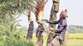 শীতের ওম, খেজুরের রস