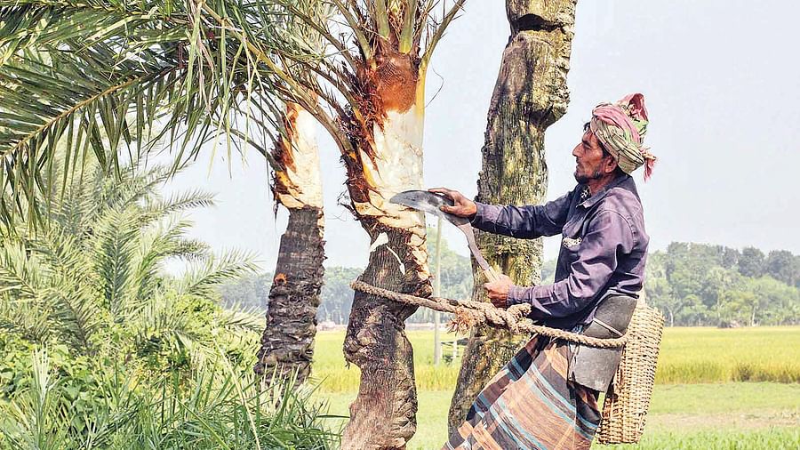 শীতের ওম, খেজুরের রস