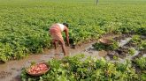 পানির নিচে তলিয়ে গেল কৃষকের স্বপ্ন