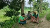 কৃষকের বাতিঘরের উদ্যোগে আম চাষীদের পরামর্শ প্রদান