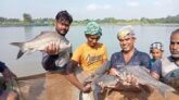 মাছ চাষে বদলেছে গ্রামীণ অর্থনীতি, স্বাবলম্বী হচ্ছেন বেকার যুবকরা