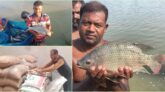 চাকরি ছেড়ে গ্রামে নিরাপদ কৃষি খামার গড়েছেন আকতার