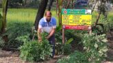 পারিবারিক পুষ্টি বাগানে মিটছে খাদ্যের চাহিদা