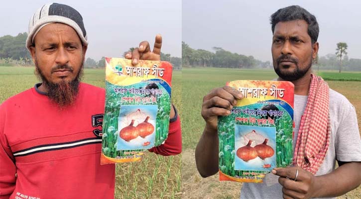 ‘নকল বীজের’ ফাঁদে লোকসানের মুখে কৃষক