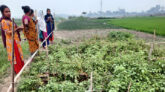 জমি বর্গা নিয়ে ফসল ফলাচ্ছেন একদল হিজড়া