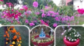 চা বাগানের বাংলো যেন ফুলের স্বর্গরাজ্য