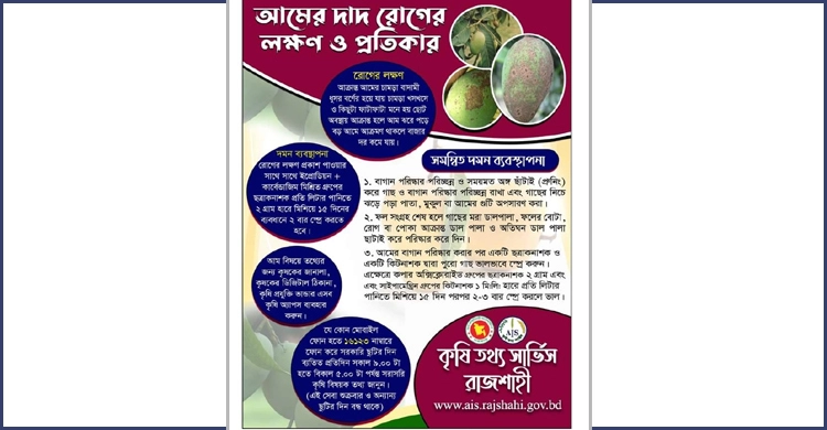 আমের দাদ রোগের লক্ষণ-প্রতিকার