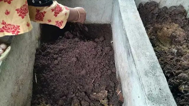 ভার্মি কম্পোস্টে ভাগ্য পরিবর্তন ৩৬ নারীর