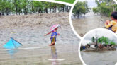 সবুজে বেঁচে থাকার লড়াই