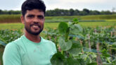 জমিতে মহিবুলের টাকার খনি
