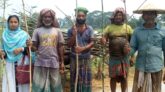 মিরপুরে মাজরা পোকা দমনে পরামর্শ, পার্চিং