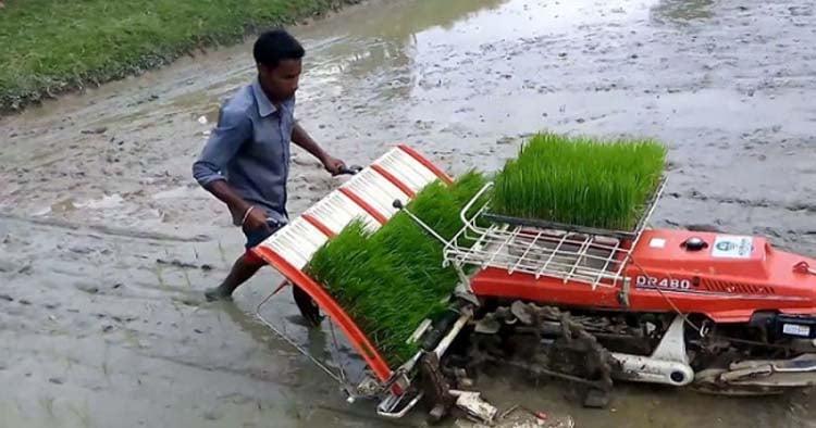 ট্রান্সপ্লান্টারের মাধ্যমে আমন ধানের চারা রোপণে লাভবান হচ্ছেন কৃষকরা
