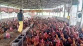 মুরগির সাদা ডায়রিয়া রোগ প্রতিরোধের উপায়