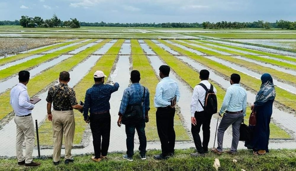সোনাগাজীর কৃষিতে যান্ত্রিকীকরণে বিপ্লবের ছোঁয়া