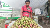 সাতক্ষীরার বাজারে চাহিদা বাড়ছে পানিফলের