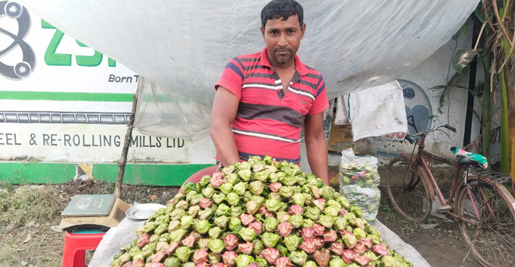 সাতক্ষীরার বাজারে চাহিদা বাড়ছে পানিফলের
