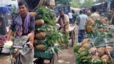 জিআই স্বীকৃতি পেল মধুপুরের আনারস