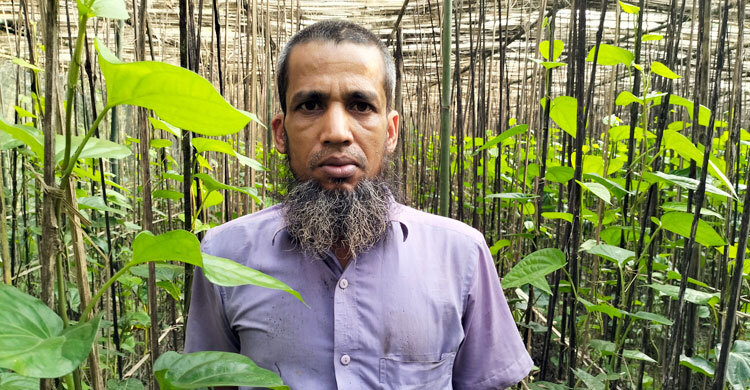 মিষ্টি পান চাষে সফল নাগরপুরের জহুরুল