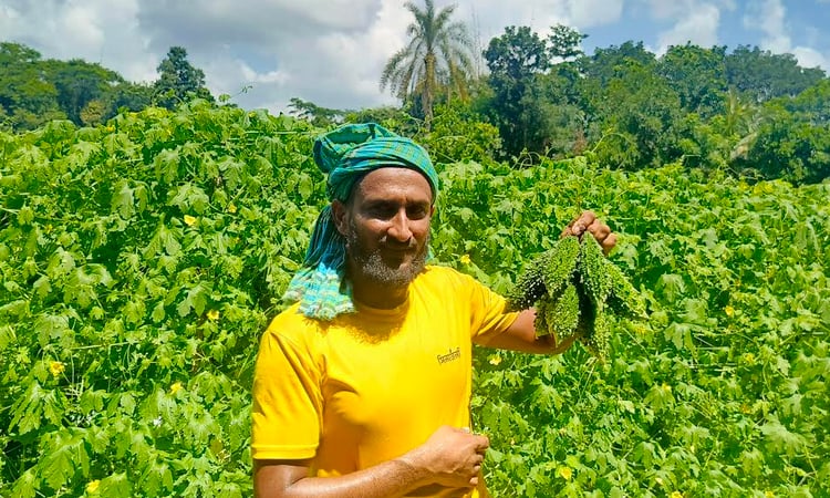 করলা চাষে লাভবান চাষীরা