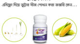 যেভাবে করবেন ভুট্টার বীজ শোধন