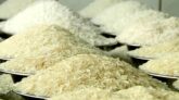 এবার দেশে স্বীকৃতি পাচ্ছে কৃত্রিম চাল