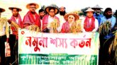 দৌলতপুরে রোপা আমন ধানের নমুনা শস্য কর্তন উদ্বোধন