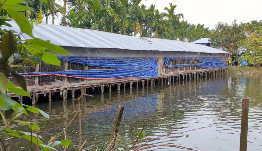 মাছ-মুরগির খামার করে ভাগ্য বদল রাজিব কর্মকারের