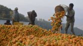 এক তরুণের হাত ধরে ভাগ্য ফিরল পুরো গ্রামের