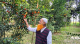 সমতল জমিতে কমলা চাষে সম্ভাবনা, সফল কৃষক খয়বর