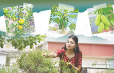 ছাদ হয়ে উঠুক কৃষির ক্ষেত্র