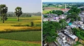 অপরিকল্পিত ভূমি ব্যবহারে কমছে কৃষিজমি