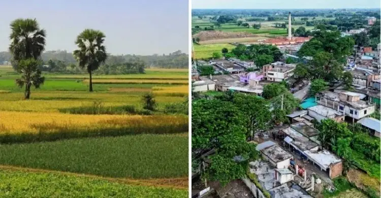 অপরিকল্পিত ভূমি ব্যবহারে কমছে কৃষিজমি