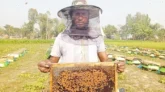 চাকরি হারিয়ে মৌচাষে সফল শাহ আলম