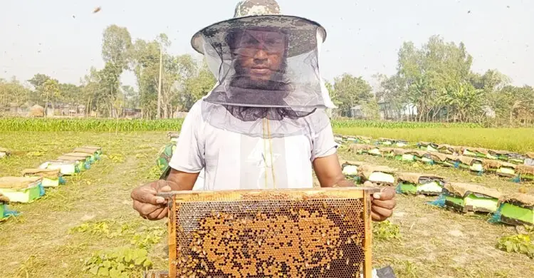 চাকরি হারিয়ে মৌচাষে সফল শাহ আলম
