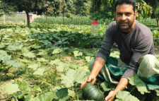 কৃষি উদ্যোক্তা রফিকুলের সাফল্য