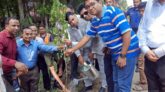 শৈলকুপা-লাঙ্গলবাঁধ সড়কে বৃক্ষরোপণ