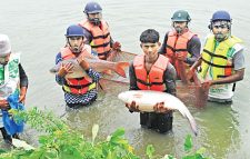 মৎস্য উৎপাদনে রেকর্ড করল বিশ্ব, চাষের মাছই এখন প্রধান ভরসা