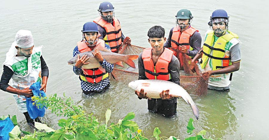 মৎস্য উৎপাদনে রেকর্ড করল বিশ্ব, চাষের মাছই এখন প্রধান ভরসা