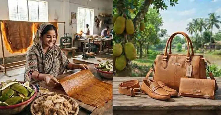 কাঁঠালের খোসা থেকে পরিবেশবান্ধব ‘চামড়া’
