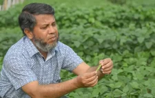 বাংলাদেশে চরাঞ্চলের কৃষির সম্ভাবনা