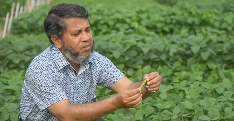 বাংলাদেশে চরাঞ্চলের কৃষির সম্ভাবনা